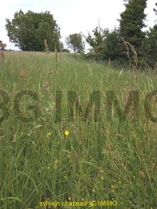 For sale Land MONTLIEU-LA-GARDE  17