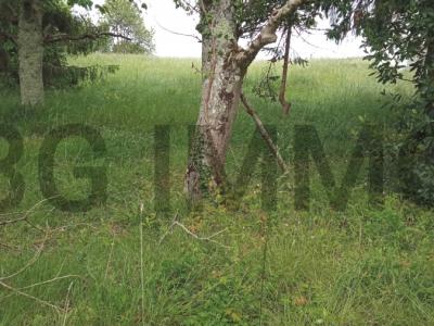 For sale Land MONTLIEU-LA-GARDE  17