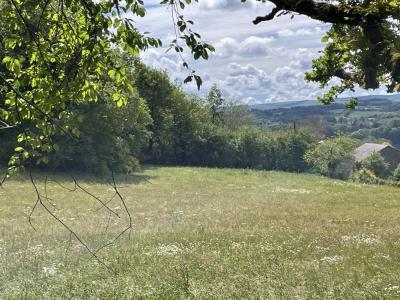 Vente Terrain SAINT-DENIS-DES-MURS 87400