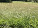 Acheter Terrain Saint-denis-des-murs Haute vienne