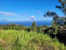 Vente Terrain Saint-leu 974