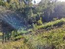 Annonce Vente Terrain Saint-leu