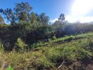 Acheter Terrain 1131 m2 Saint-leu