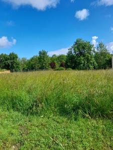 photo For sale Land CAMPUGNAN 33