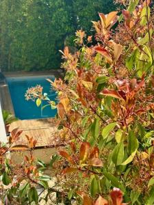 Vente Maison 6 pièces MONTPELLIER 34000