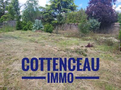 Vente Terrain CHEMILLE 49120