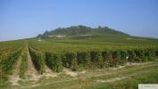 Annonce Vente Terrain Bergeres-les-vertus