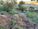 Annonce Vente Terrain Mandelieu-la-napoule