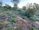 Acheter Terrain 4206 m2 Mandelieu-la-napoule