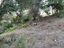 Acheter Terrain Mandelieu-la-napoule Alpes Maritimes