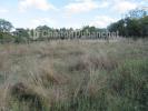 Land RIORGES 