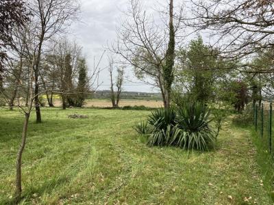 Vente Terrain MONDAVEZAN 31220