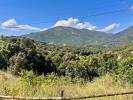Vente Terrain Eccica-suarella 20