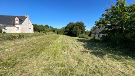 photo For sale Land TURBALLE 44