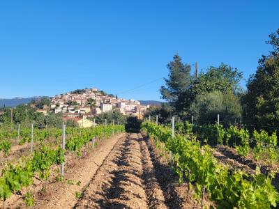 Vente Terrain PIERREFEU-DU-VAR  83