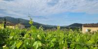 Annonce Vente Terrain Pierrefeu-du-var