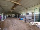 Acheter Terrain 10000 m2 Ramoulu