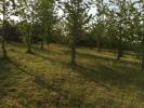 Acheter Terrain Cerans-foulletourte Sarthe