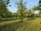 Acheter Terrain Cerans-foulletourte 60000 euros