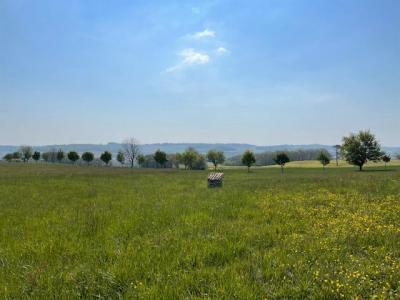 For sale House LECTOURE GERS   ct LECTOURE