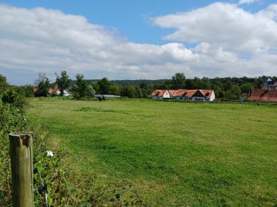 Vente Terrain ESCOEUILLES 62850