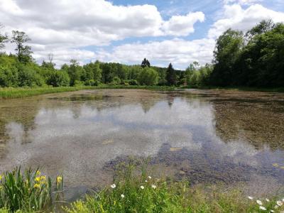 photo For sale Land CONTREGLISE 70
