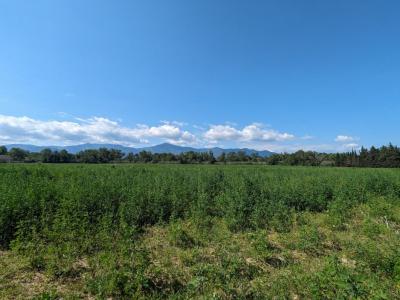 Vente Terrain ELNE 66200
