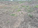 Acheter Terrain 701 m2 Louviers