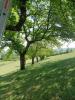 Annonce Vente Terrain Buzet-sur-baise