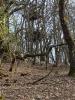 Acheter Terrain Buzet-sur-baise 175000 euros