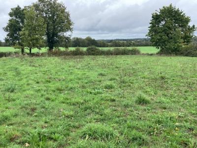 Vente Maison NIEUL-LE-DOLENT 