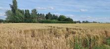 Annonce Vente Terrain Caudry