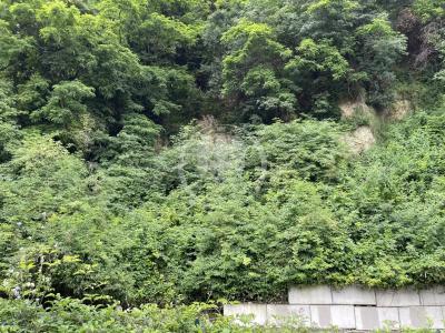Vente Terrain NICE 06100
