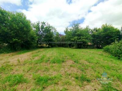 Vente Terrain REYSSOUZE 01190