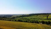 Acheter Prestige Vic-fezensac Gers