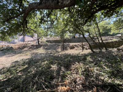Vente Terrain BESSE-SUR-ISSOLE 83890