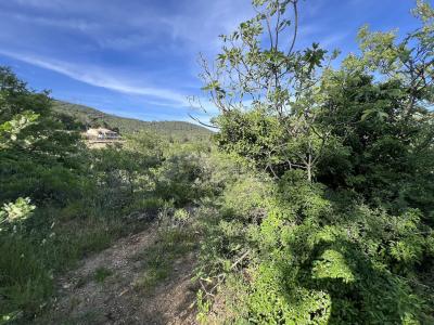 photo For sale Land BESSE-SUR-ISSOLE 83