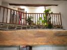 Acheter Maison Bellac 92000 euros