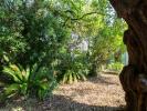 Annonce Vente 6 pices Maison Antibes