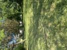 For sale Land Saint-pierre-d'oleron  17310 1277 m2