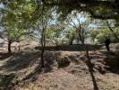 Annonce Vente Terrain Besse-sur-issole