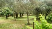 Annonce Vente Terrain Alleins