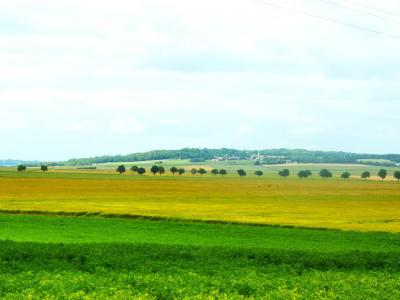 Vente Terrain BOURGOGNE 51110