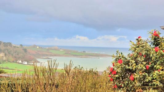photo For sale House SAINT-JEAN-DU-DOIGT 29