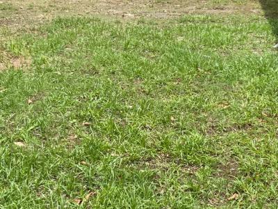 Vente Terrain RIVIERE-SALEE 97215