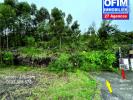 For sale Land Plaine-des-palmistes 97431