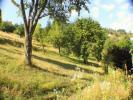 Acheter Maison 260 m2 Neuviller-la-roche