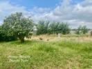 Annonce Vente Terrain Fabregues