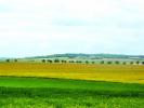 Vente Terrain Bourgogne 51