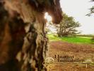 Acheter Prestige Plestin-les-greves Cotes d'armor